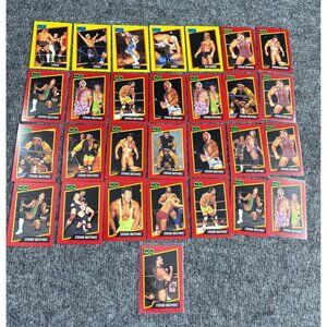 WCW 1991 Steiner Brothers Trading Card Set